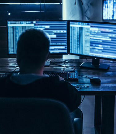 Identity Theft Protection Cyber security specialist analyzes employee's information to protect against identity fraud