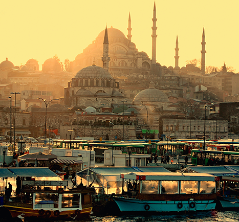 Careers Key Figures Countries Starr Insures Business